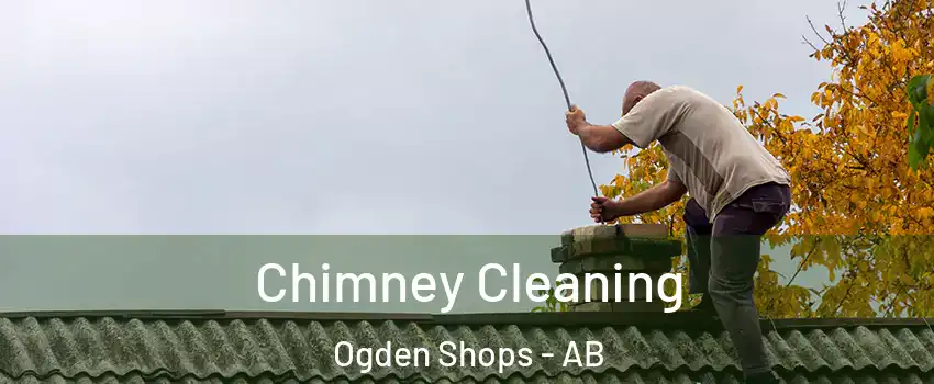  Chimney Cleaning Ogden Shops - AB
