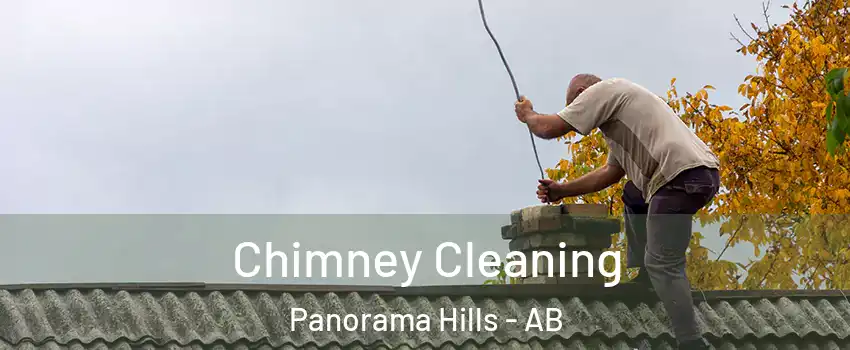  Chimney Cleaning Panorama Hills - AB