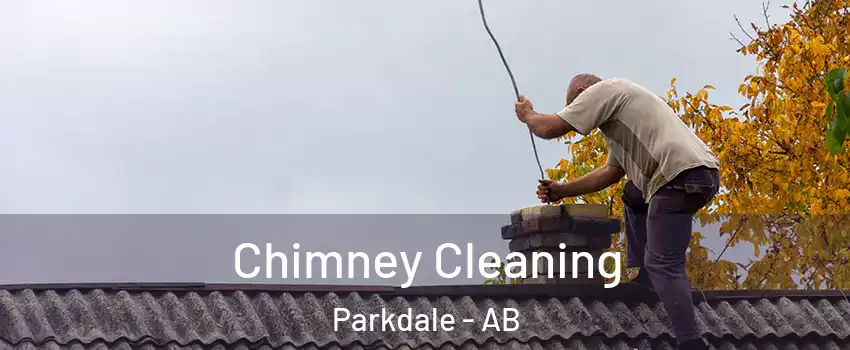  Chimney Cleaning Parkdale - AB