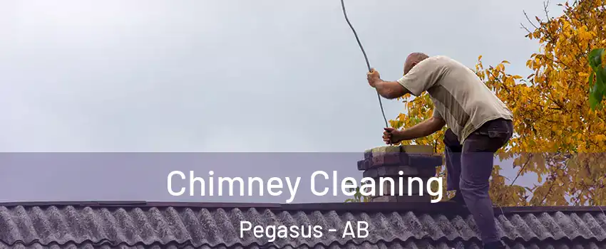  Chimney Cleaning Pegasus - AB