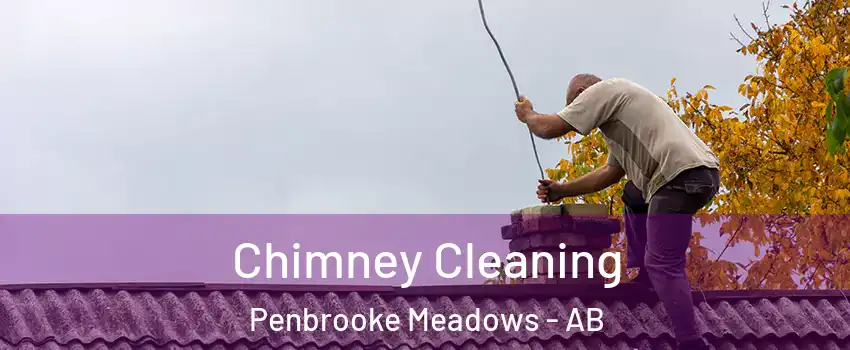  Chimney Cleaning Penbrooke Meadows - AB