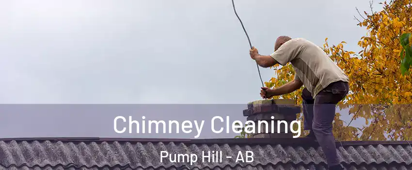  Chimney Cleaning Pump Hill - AB