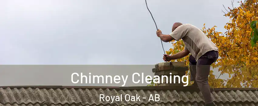  Chimney Cleaning Royal Oak - AB