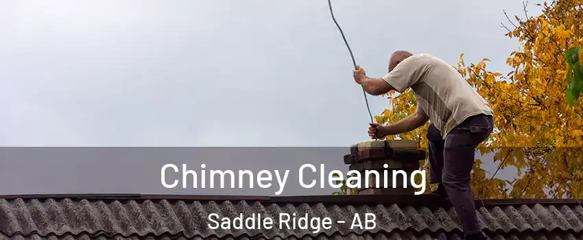  Chimney Cleaning Saddle Ridge - AB