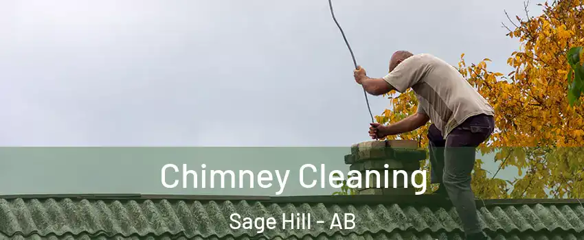  Chimney Cleaning Sage Hill - AB