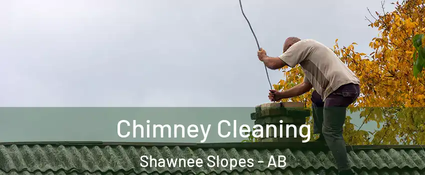 Chimney Cleaning Shawnee Slopes - AB