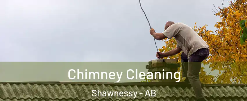 Chimney Cleaning Shawnessy - AB