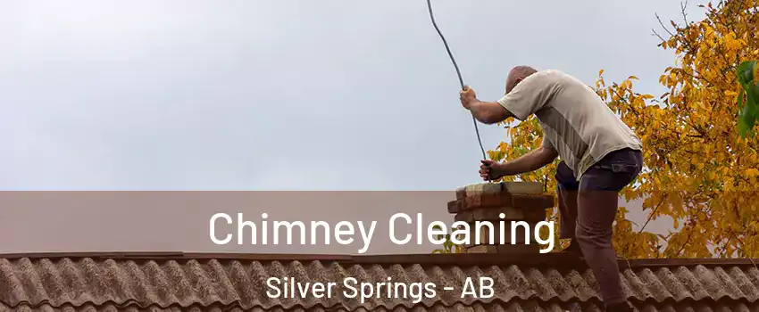  Chimney Cleaning Silver Springs - AB