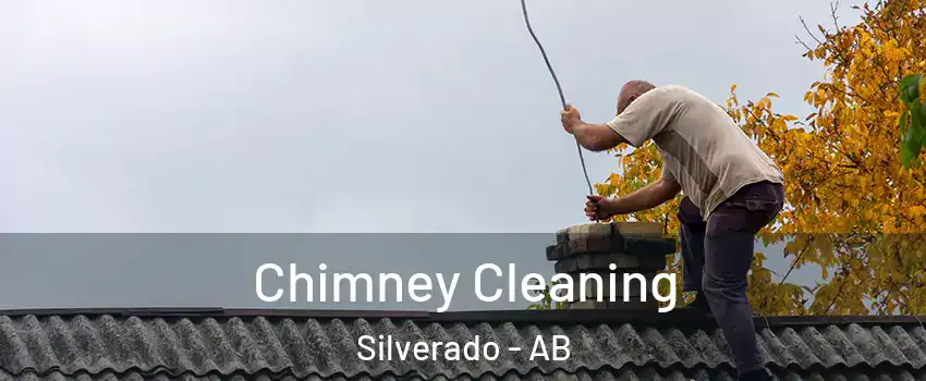  Chimney Cleaning Silverado - AB