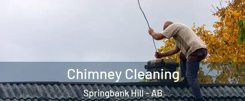  Chimney Cleaning Springbank Hill - AB
