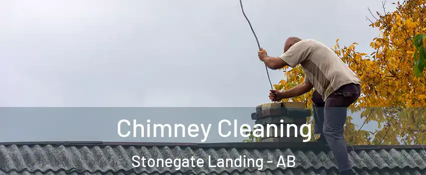  Chimney Cleaning Stonegate Landing - AB
