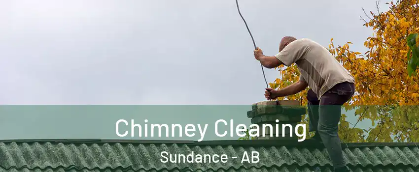  Chimney Cleaning Sundance - AB