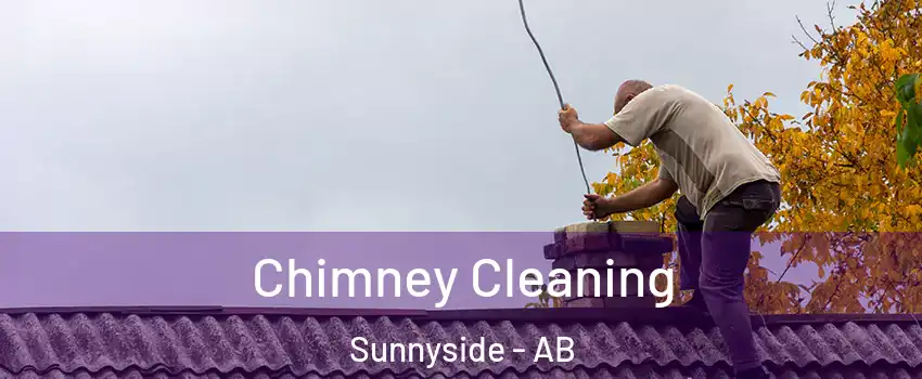  Chimney Cleaning Sunnyside - AB