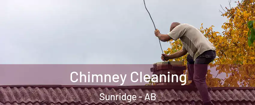  Chimney Cleaning Sunridge - AB