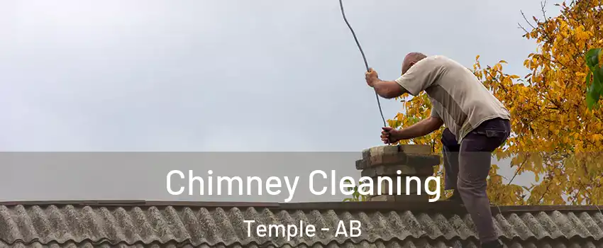  Chimney Cleaning Temple - AB