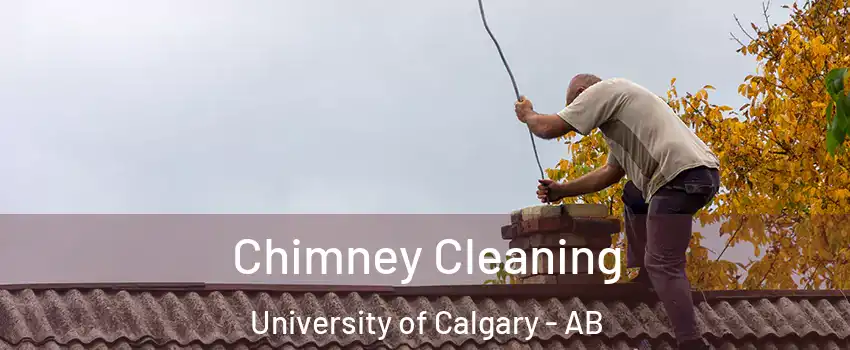  Chimney Cleaning University of Calgary - AB