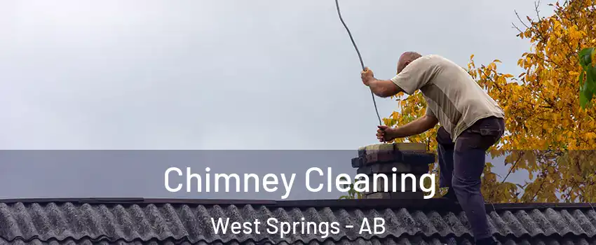  Chimney Cleaning West Springs - AB
