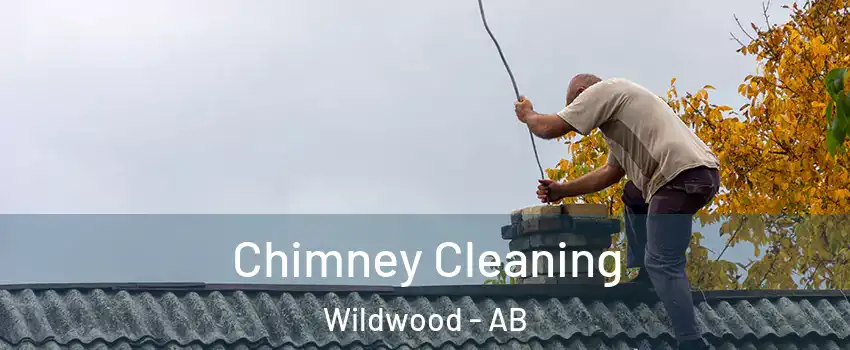  Chimney Cleaning Wildwood - AB
