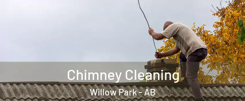  Chimney Cleaning Willow Park - AB