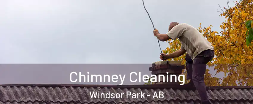  Chimney Cleaning Windsor Park - AB