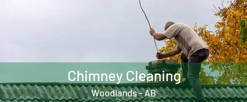  Chimney Cleaning Woodlands - AB