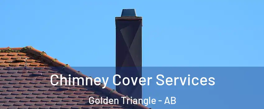  Chimney Cover Services Golden Triangle - AB
