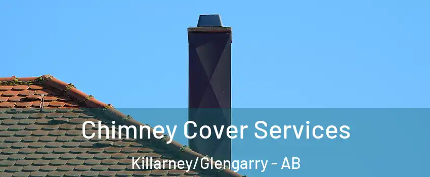  Chimney Cover Services Killarney/Glengarry - AB