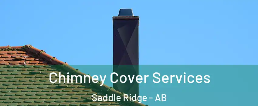  Chimney Cover Services Saddle Ridge - AB