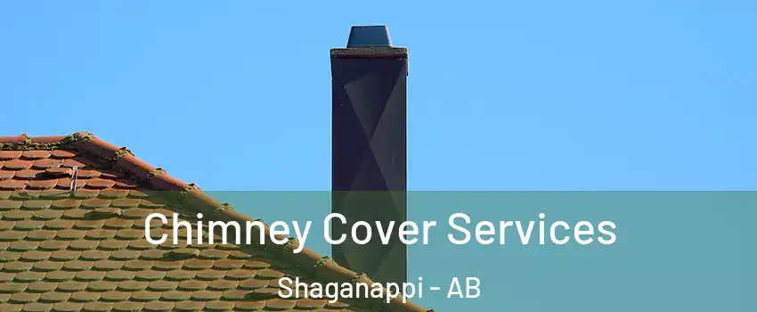  Chimney Cover Services Shaganappi - AB