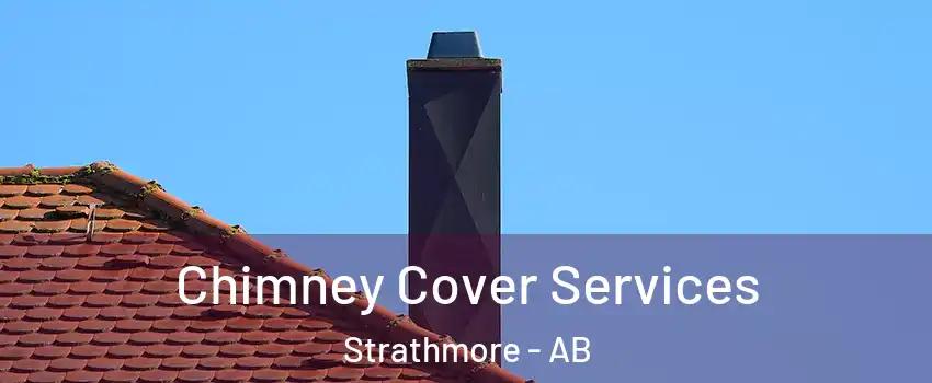  Chimney Cover Services Strathmore - AB