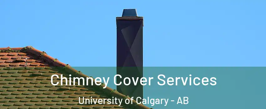  Chimney Cover Services University of Calgary - AB