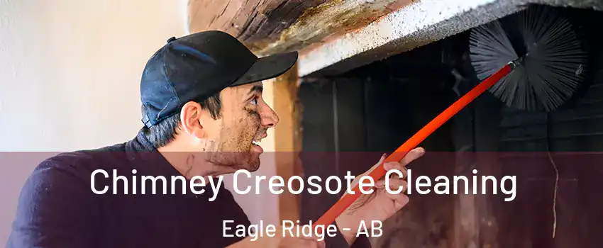  Chimney Creosote Cleaning Eagle Ridge - AB