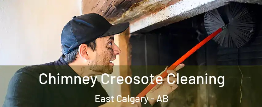  Chimney Creosote Cleaning East Calgary - AB