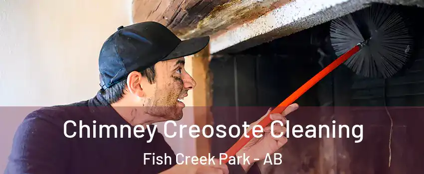  Chimney Creosote Cleaning Fish Creek Park - AB