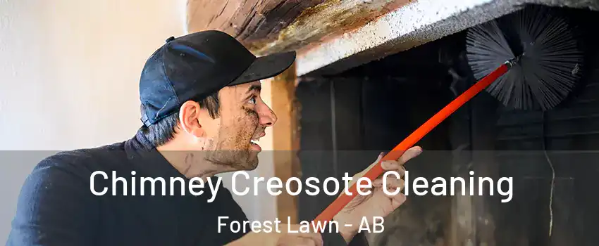  Chimney Creosote Cleaning Forest Lawn - AB