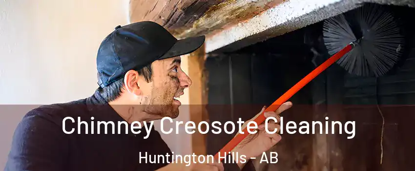  Chimney Creosote Cleaning Huntington Hills - AB
