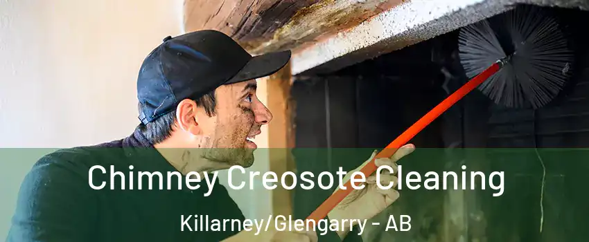  Chimney Creosote Cleaning Killarney/Glengarry - AB