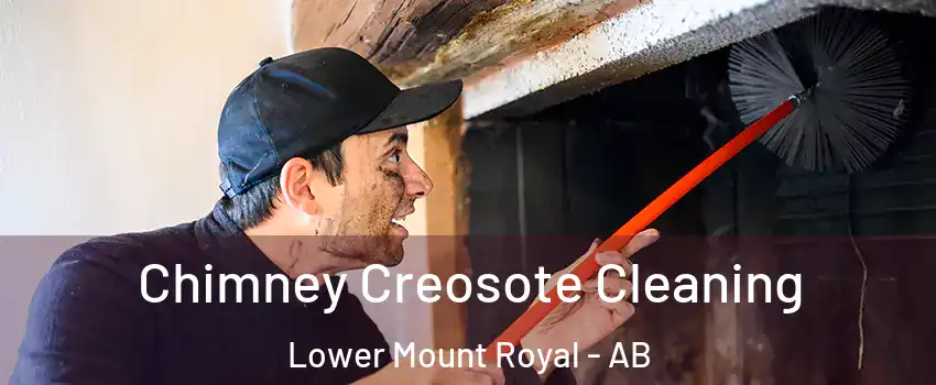  Chimney Creosote Cleaning Lower Mount Royal - AB