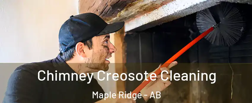  Chimney Creosote Cleaning Maple Ridge - AB