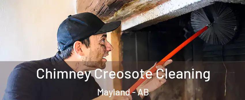  Chimney Creosote Cleaning Mayland - AB