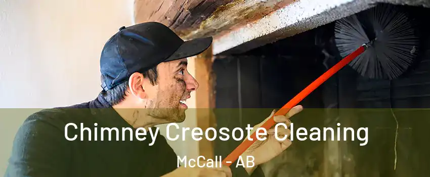  Chimney Creosote Cleaning McCall - AB