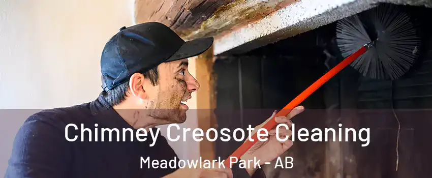  Chimney Creosote Cleaning Meadowlark Park - AB