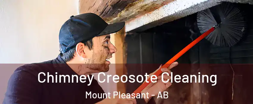  Chimney Creosote Cleaning Mount Pleasant - AB