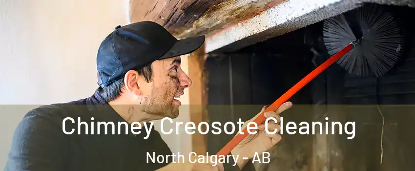  Chimney Creosote Cleaning North Calgary - AB