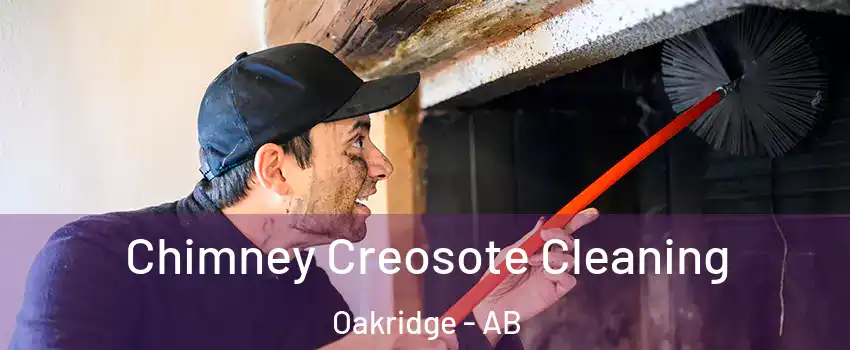  Chimney Creosote Cleaning Oakridge - AB