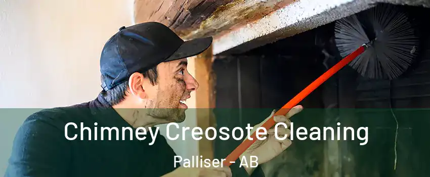  Chimney Creosote Cleaning Palliser - AB