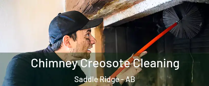  Chimney Creosote Cleaning Saddle Ridge - AB