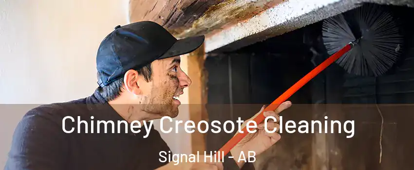  Chimney Creosote Cleaning Signal Hill - AB