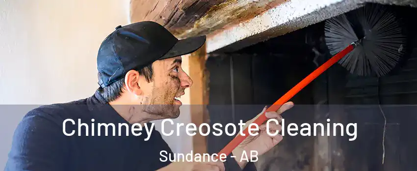  Chimney Creosote Cleaning Sundance - AB