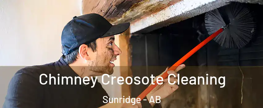 Chimney Creosote Cleaning Sunridge - AB